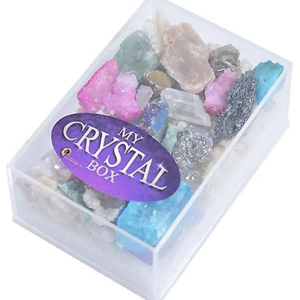 British Fossils Loose Parts | Accessori | Box di Cristalli