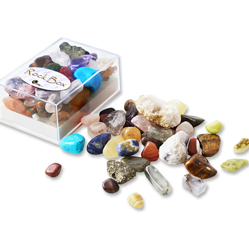 British Fossils Loose Parts | Accessori | Box di Pietre
