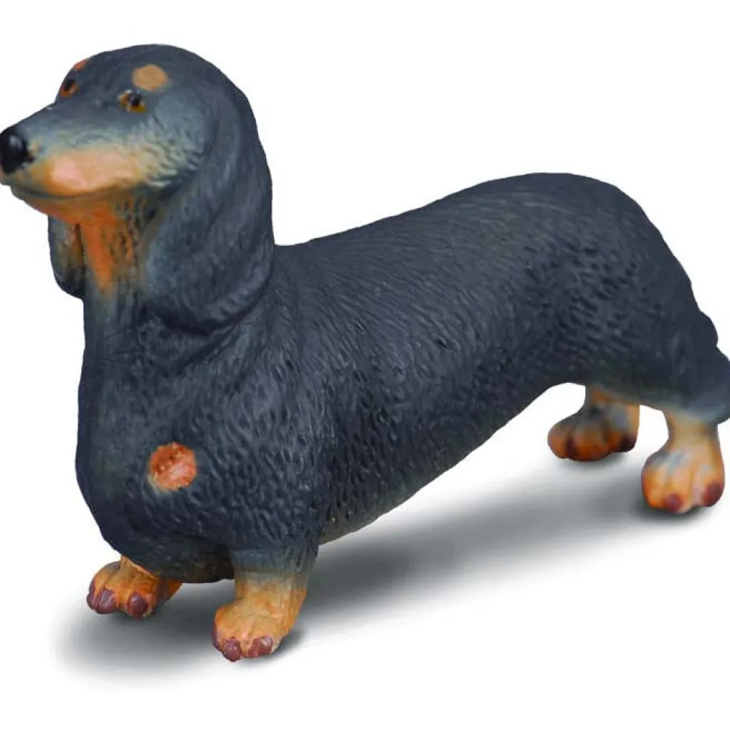 Collecta Animali In Plastica | Cane Bassotto Animale Giocattolo