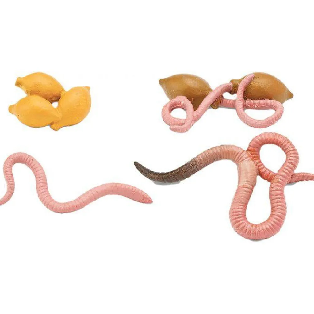 Safari LTD Insetti | Cicli Vitali | Ciclo Vitale del Lombrico