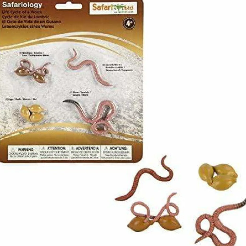 Safari LTD Insetti | Cicli Vitali | Ciclo Vitale del Lombrico