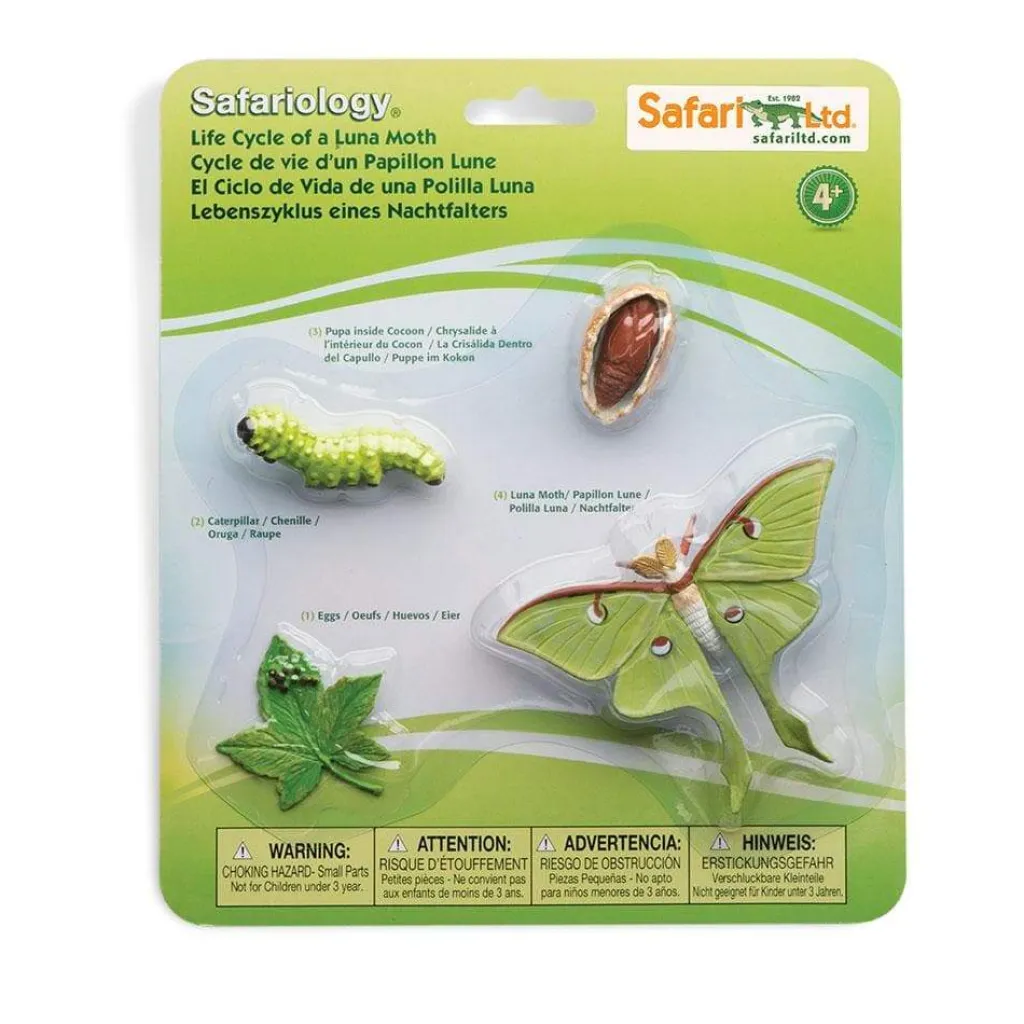 Safari LTD Pasqua | Primavera | Ciclo Vitale della Falena Luna