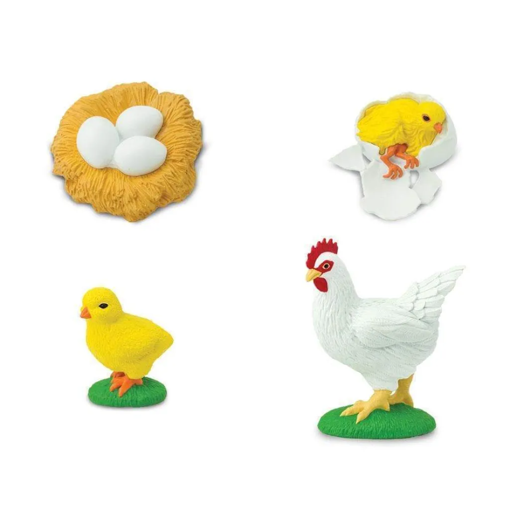 Safari LTD Pasqua | Primavera | Ciclo Vitale della Gallina