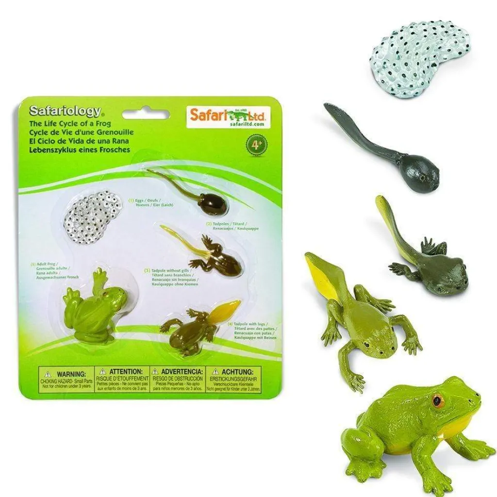 Safari LTD Cicli Vitali | Animali In Plastica | Ciclo Vitale della Rana