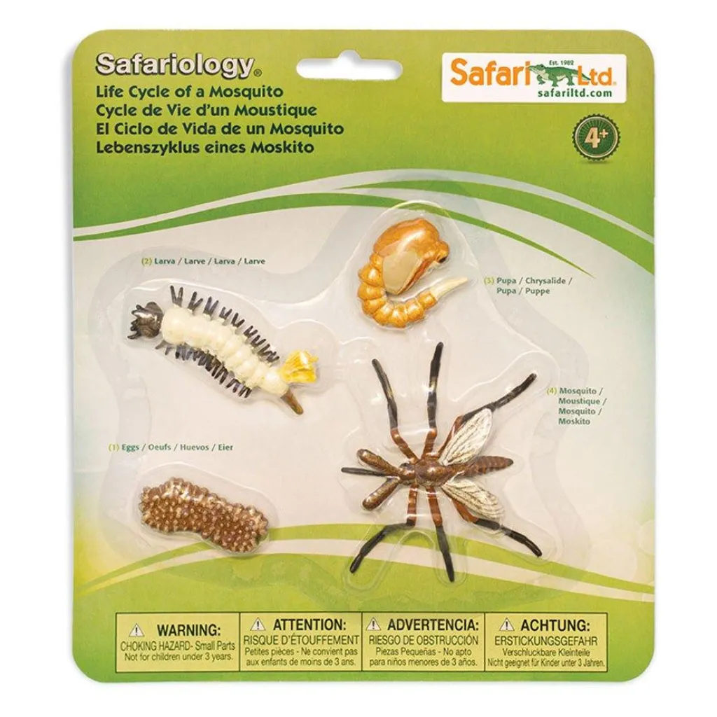 Safari LTD Cicli Vitali | Insetti | Ciclo Vitale della Zanzara