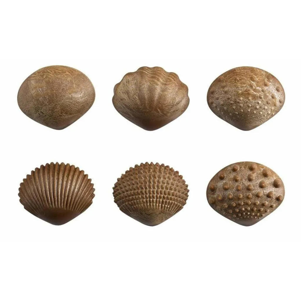 Edx Education Estate | Loose Parts | Conchiglie per la stimolazione tattile