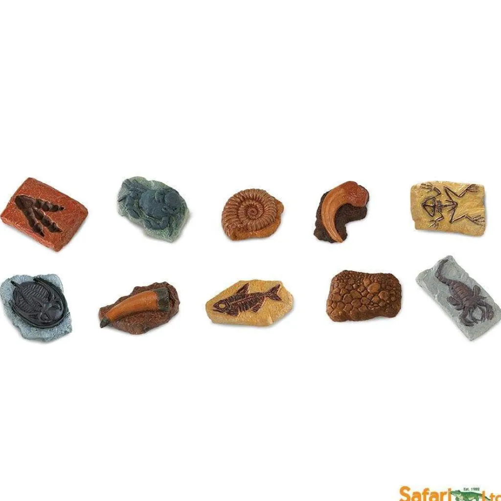 Safari LTD Dinosauri | Animali In Plastica | Confezione Tubo Fossili Preistorici