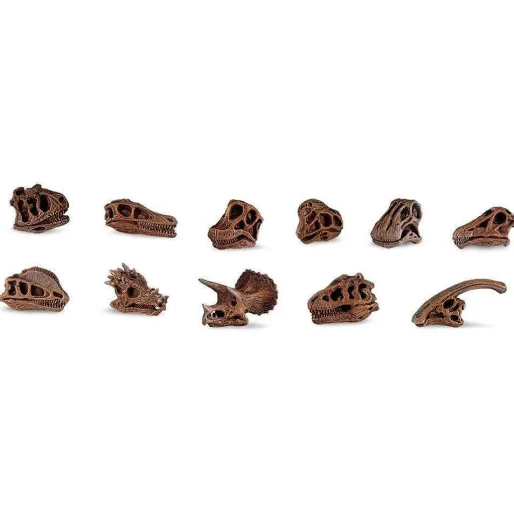 Safari LTD Dinosauri | Animali In Plastica | Confezione Tubo Teschi di Dinosauro LTD
