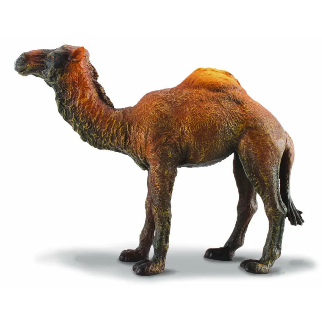 Collecta Animali In Plastica | Dromedario Animale Giocattolo