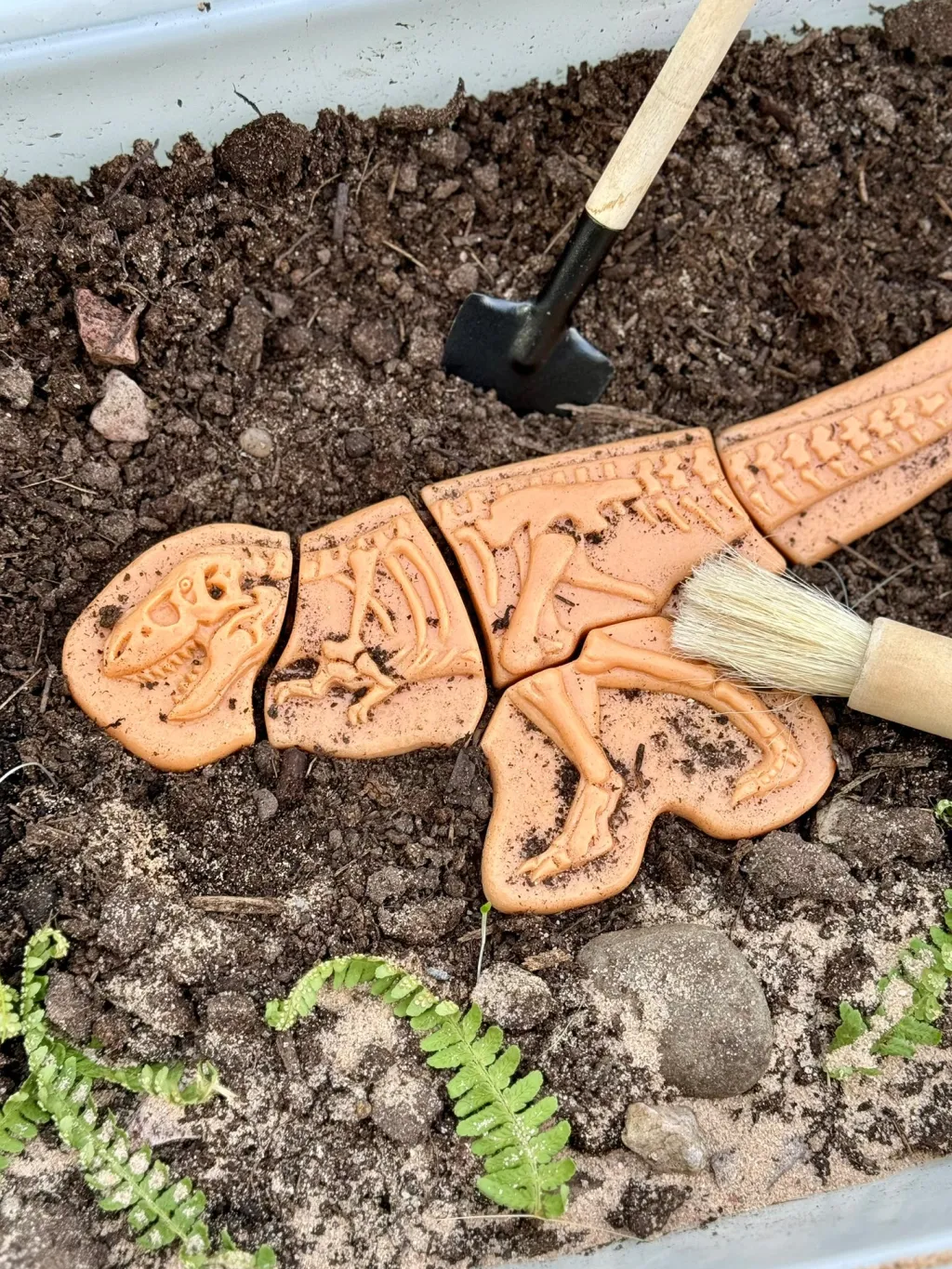 Yellow Door Insetti | Dinosauri | Elementi Tattili - Anchilosauro e Tirannosauro