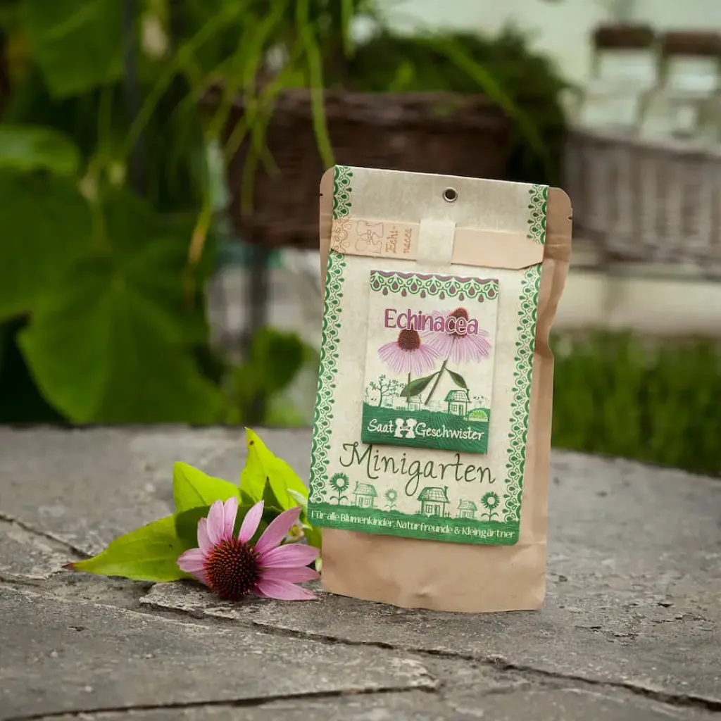 Die Stadtgärtner Pasqua | Primavera | Mini Giardino - Echinacea -