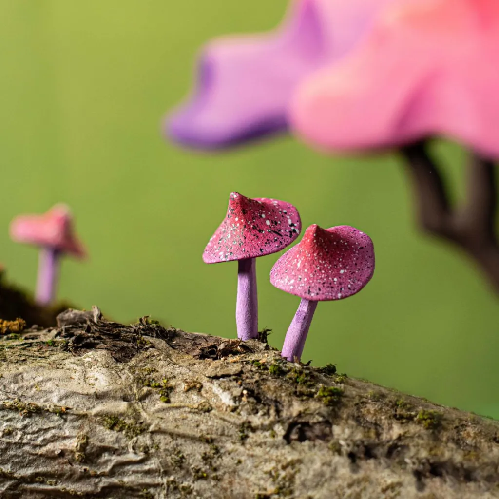 Bumbutoys Case Giocattolo E Ambientazioni | Set di funghi magici in legno