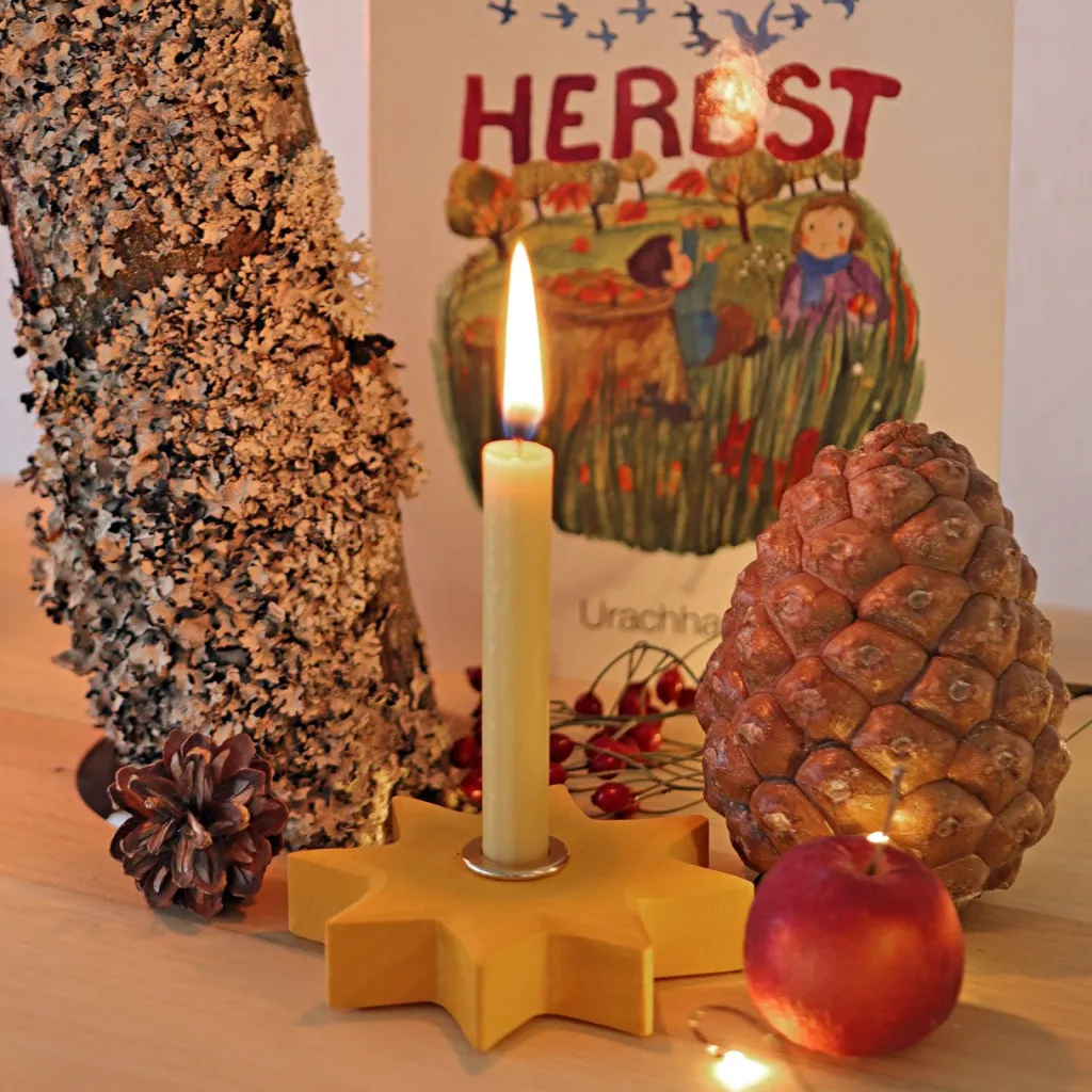 Grimm's Celebrations Anelli E Stand Waldorf | Stella Gialla Celebrazioni Grimm's